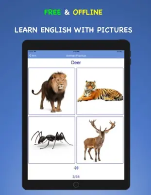 English Vocabulary Beginners android App screenshot 1