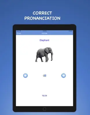 English Vocabulary Beginners android App screenshot 8